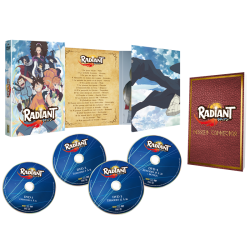 Coffret DVD Radiant saison 1