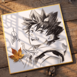 Shikishi Seth &ndash; Radiant